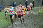 Senior boys 2019 New Balance English Schools Cross Country Champs, Temple Newsam, Leeds. Photo:  David T. Hewitson/Sports for All Pics